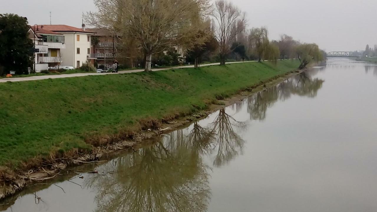 Vicino Al Prato Della Valle Intero Appartamento Parcheggio Facile Di Fronte Padova Eksteriør bilde